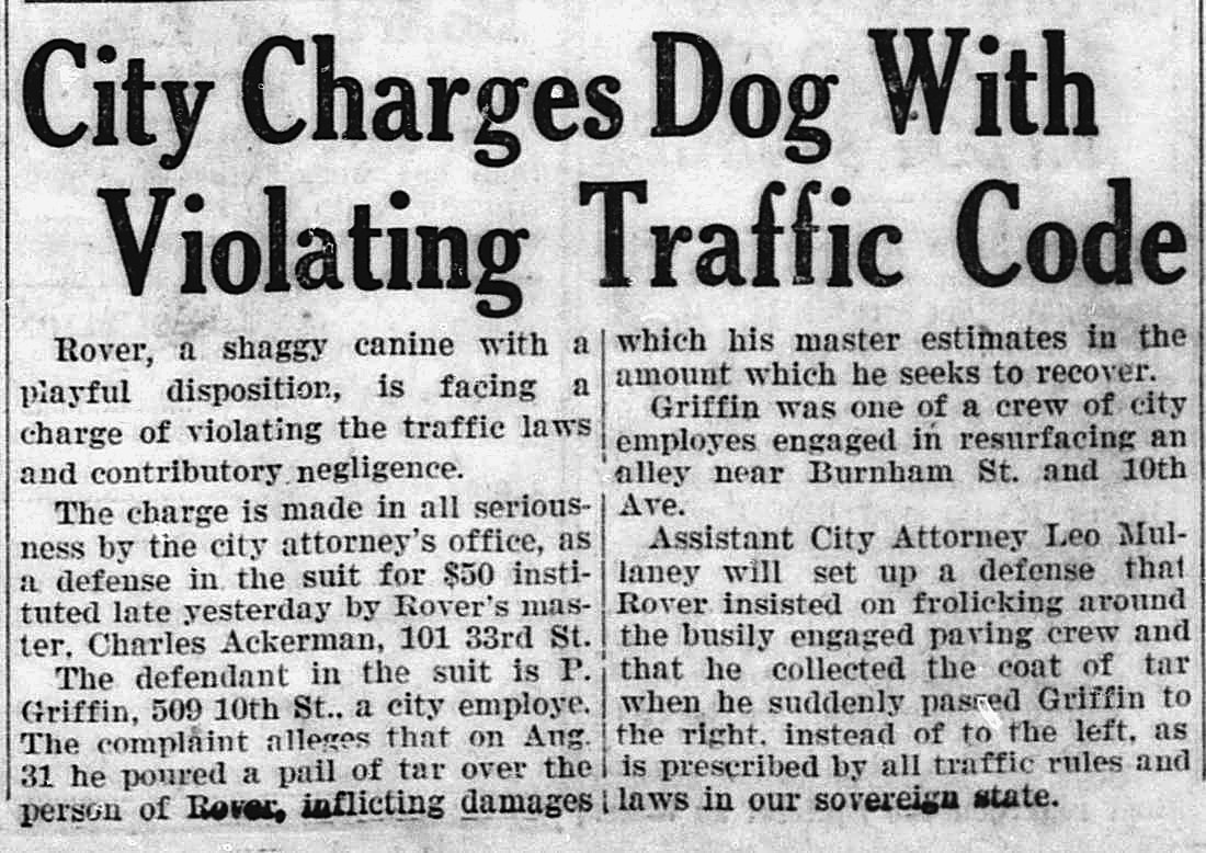 The Milwaukee Leader, Milwaukee, Wisconsin: City Charges Dog With Violating Traffic Code